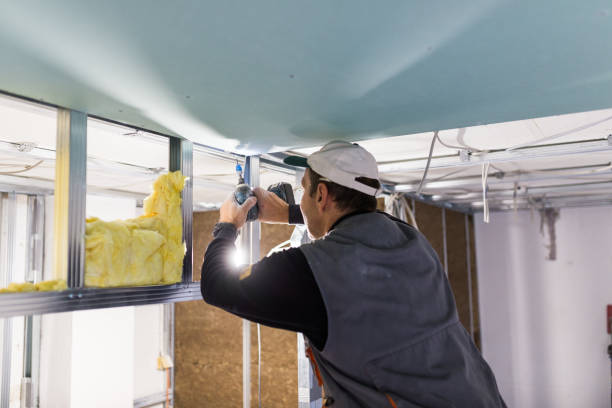 Best Specialized Insulation Services in Ennis, TX