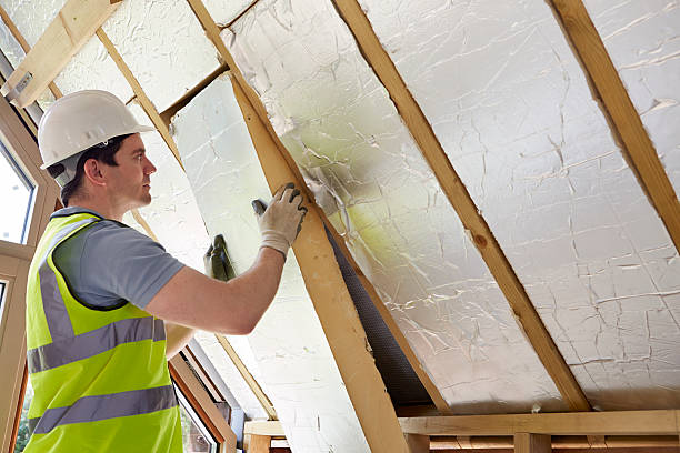 Best Geographic-Specific Insulation Services in Ennis, TX